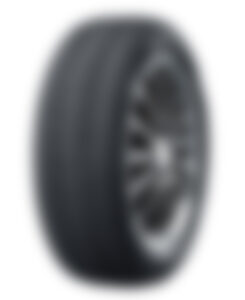 GOODYEAR EAG F1 SUPERSPORT R