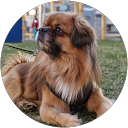 Kristin Røstvær profile picture