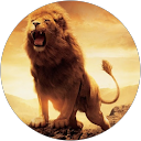 Abdi Hassen profile picture