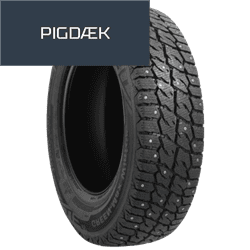 LEAO Winter Defender Grip Van 2