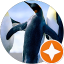 Elin TD profile picture