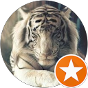 Inon profile picture