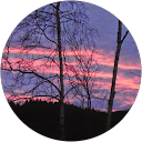 Stein Solvang profile picture