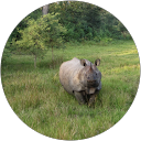 Marianne Botten profile picture