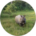 Marianne Botten profile picture