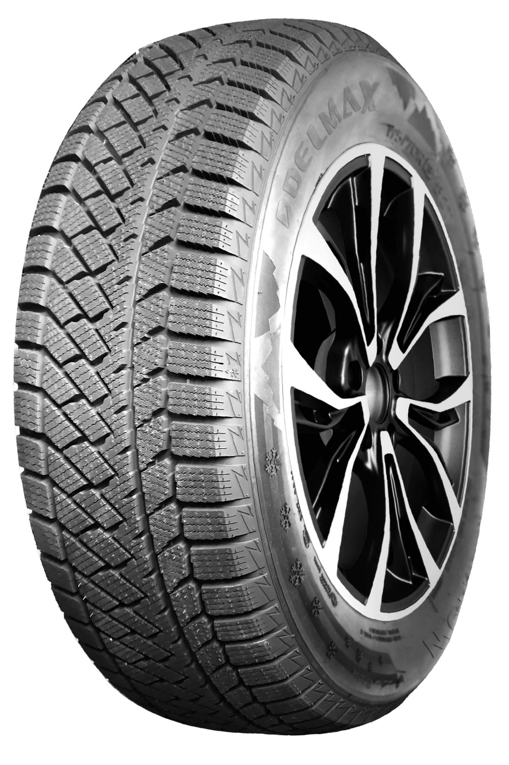 DELMAX ULTIMA SNOW